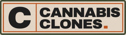 Buy Cannabis Clones